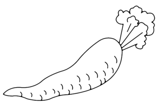 Carrot 02 - Coloring pages of flowers, fruits, and vegetables - Coloring book - 10doigts.com