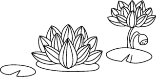 Flowers 029 - Coloring pages of flowers, fruits, and vegetables - Coloring book - 10doigts.com