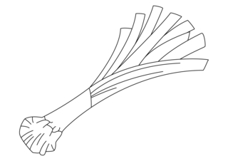 Leek 02 - Coloring pages of flowers, fruits, and vegetables - Coloring book - 10doigts.com