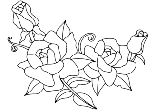 Roses 01 - Coloring pages of flowers, fruits, and vegetables - Coloring book - 10doigts.com