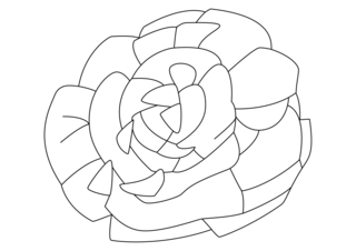 Salad 02 - Coloring pages of flowers, fruits, and vegetables - Coloring book - 10doigts.com