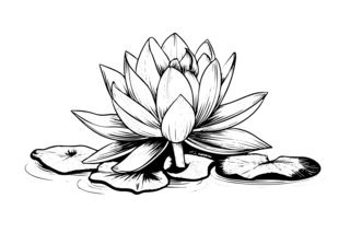 Manga 12 - Manga coloring pages - Coloring book - 10doigts.com