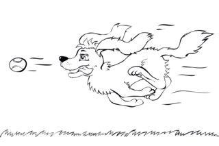 Sport5 - Olympic Games Sports Coloring Pages - Coloring book - 10doigts.com