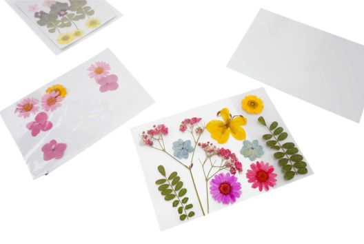 Dried Flowers Frame - 3 - Handicraft Activities to Make Frames - 10doigts.com - Handicraft Activities to Make Frames - 10doigts.fr - 2
