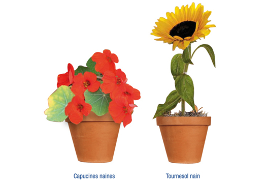 Kit de jardinería - Actividades manuales sobre el tema de la naturaleza para los niños - 10doigts.fr - 2