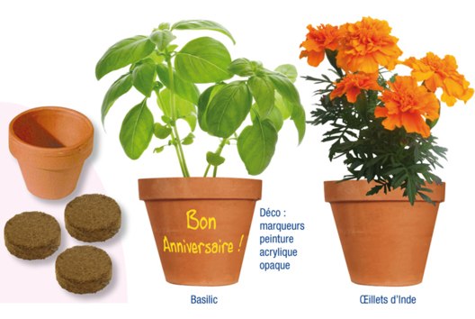 ¿Plantamos flores o plantas aromáticas?: ¿cómo funciona? - Actividades manuales sobre el tema de la naturaleza para los niños - 10doigts.fr