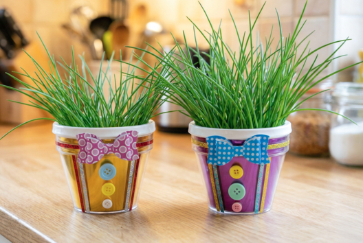 maceta cebollino regalo día del padre - Manualidades día del padre - 10doigts.fr