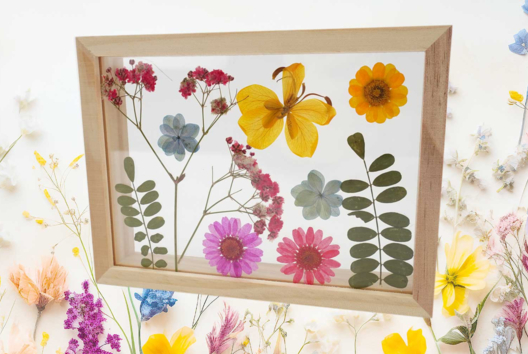 Dried Flowers Frame - 2 - Handicraft Activities to Make Frames - 10doigts.com - Handicraft Activities to Make Frames - 10doigts.fr