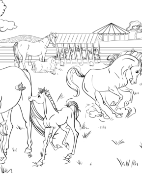 Animales-granja10 - 10doigts.fr