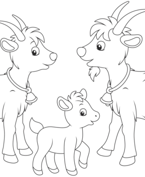 Animales-granja8 - 10doigts.fr
