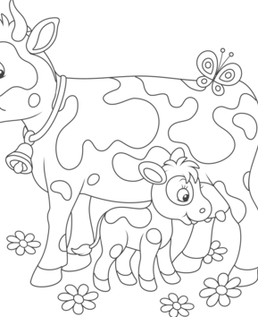 Animales-granja9 - 10doigts.fr