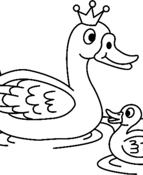 Pato03 - 10doigts.fr