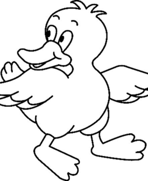 Canard07 - 10doigts.fr