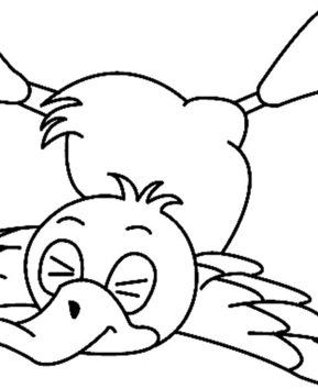 Canard08 - 10doigts.fr