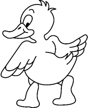Pato12 - 10doigts.fr
