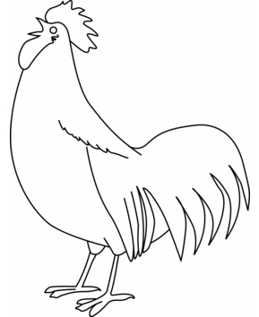 Gallo 01 - 10doigts.fr
