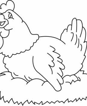 Gallina 01 - 10doigts.fr
