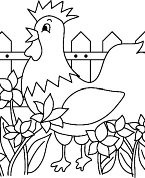 Gallina 06 - 10doigts.fr