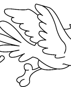 Gallina 07 - 10doigts.fr