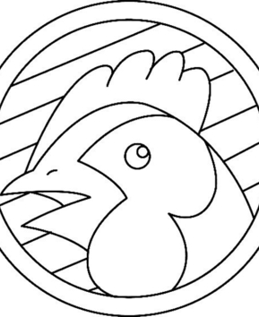 Gallina 08 - 10doigts.fr