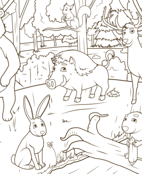Forest Animals 2 - 10doigts.fr