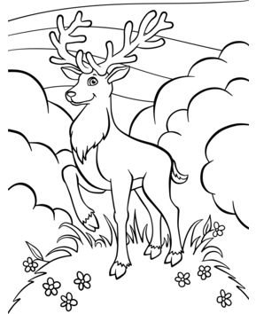 Forest animals 3 - 10doigts.fr