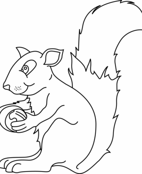 Squirrel 03 - 10doigts.fr