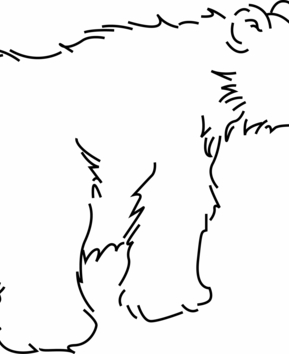 Bear02 - 10doigts.fr