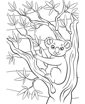 Jungle animals 5 - 10doigts.fr