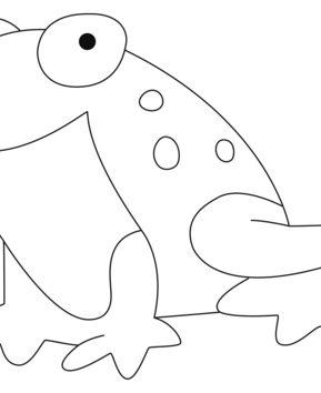Frog 06 - 10doigts.fr