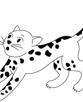 Leopard01 - 10doigts.fr