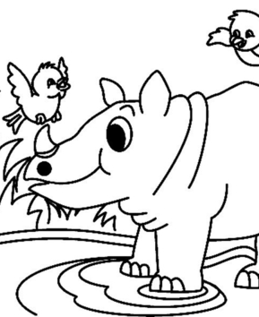 Rhinoceros01 - 10doigts.fr