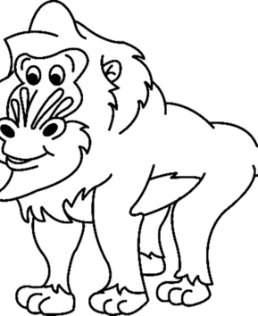 Monkey03 - 10doigts.fr