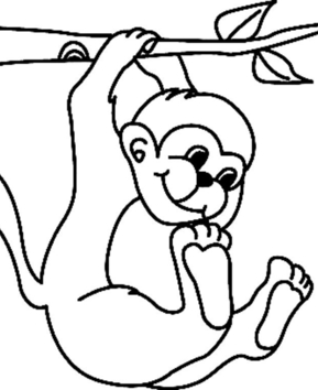 Monkey04 - 10doigts.fr