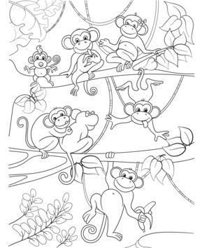 Mono12 - 10doigts.fr