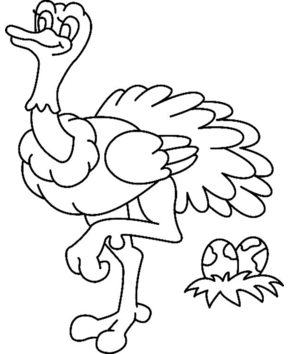 Ostrich 01 - 10doigts.fr