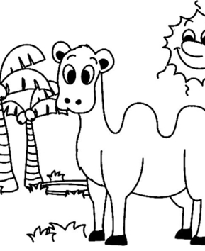 Dromedary 01 - 10doigts.fr