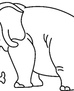 Elefante09 - 10doigts.fr