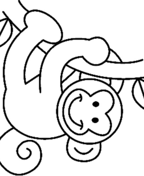 Monkey 08 - 10doigts.fr