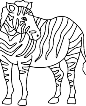 Zebra 03 - 10doigts.fr