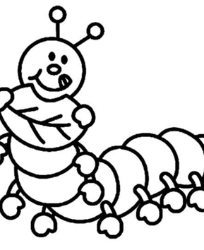 Oruga 01 - 10doigts.fr