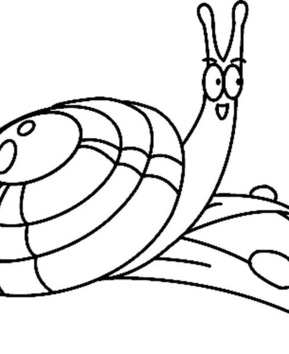 Caracol 01 - 10doigts.fr