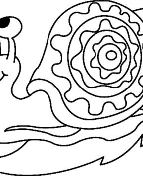 Caracol 02 - 10doigts.fr