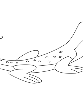Lagarto 01 - 10doigts.fr