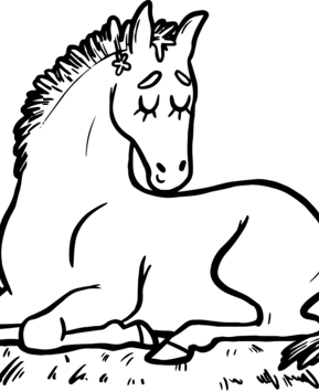 Animales domésticos10 - 10doigts.fr