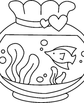 Acuario 1 - 10doigts.fr