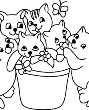 Gato 02 - 10doigts.fr