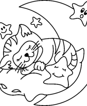 Chat 06 - 10doigts.fr