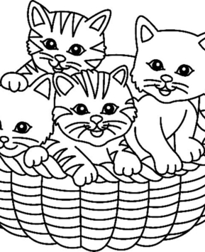 Gato 07 - 10doigts.fr