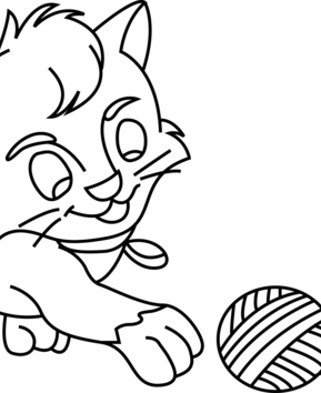Gato 13 - 10doigts.fr
